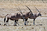 Namibia 031